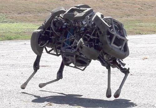 Новый четырехногий робот WildCat от Boston Dynamics