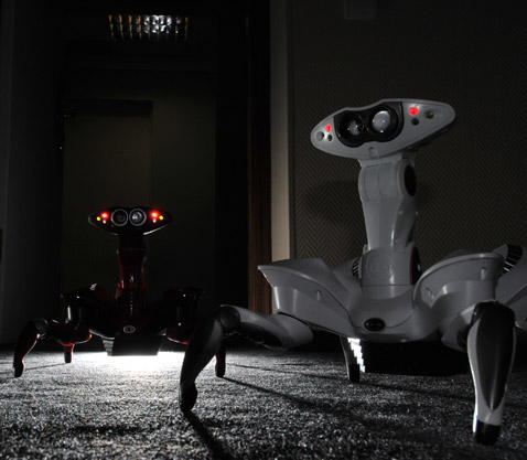        Roboquad. ,       ,   WowWee,   .        ,     , --, . ,       ,       (  /DRIVE.RU).