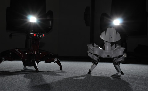 Оснащение робота не столь уж замысловато: четыре мотора в ногах (плюс 4 сенсора положения конечностей), два моторчика в шее и голове, пара линз ИК-локации, микрофон, датчик освещённости, динамик да разнообразная светодиодная "цветомузыка". Но при умелом сочетании этого добра Roboquad способен на многое. Кстати, робот может уловить сигнал с пульта на расстоянии 4,6 метра, а предельная дальность захвата предметов инфракрасным "локатором" достигает почти 4 метров (фото Влад Клепач/DRIVE.RU).