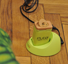 Самый верный способ спалить зарядное устройство Pleo — просто воткнуть его в розетку. 110 вольт всё-таки. Нужен трансформатор, друзья (фото Влад Клепач/DRIVE.RU).
