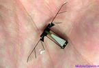 Миниатюрный летающий робот Robo-fly получил «глаза»