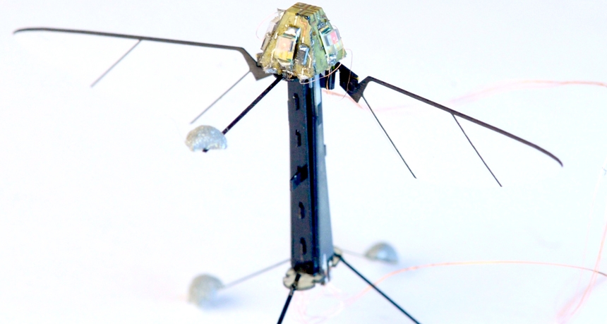 Миниатюрный летающий робот Robo-fly