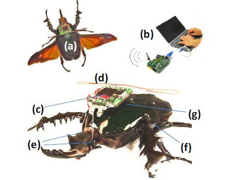     (): a) -, b)     USB , c) , d) , e)     "" , f)   g)  ( MEMS 2009 Technical Digest).