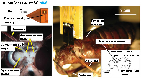 ,  ""    ( MEMS 2009 Technical Digest).