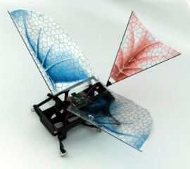 Инженеры оснастили крыльями робота-таракана