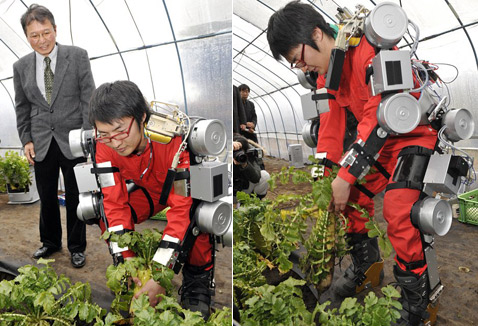    (Gohei Yamamoto)      ( AFP).