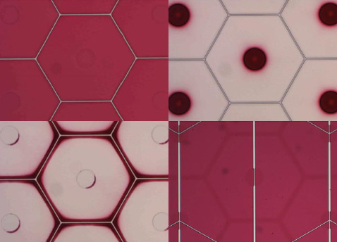 Три состояния электронной кожи с обычными шестиугольными ячейками и вариант с альтернативной раскладкой "боковых" электродов, не совпадающих со стенками пикселей (фотографии Philips).