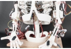 Проект анатомического робота из будущего