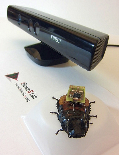Технология Kinect позволяет управлять тараканами-киборгами