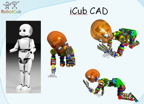 iCub