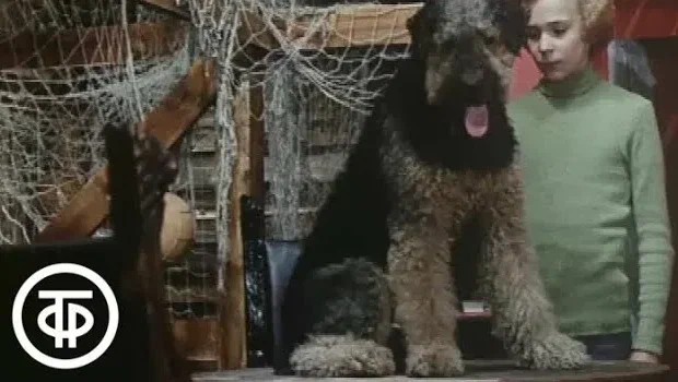 ������������ ����������� � �����