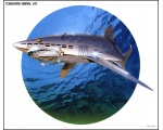 3D: робот акула - Животноборги