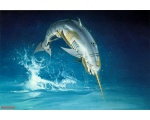 3D: робот дельфин - Животноборги