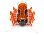 оранжевый жучек робот - Роботы Животные