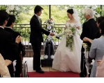 На свадьбе - Роботы Японии