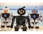 Птички роботы - Роботы Японии