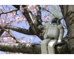 И у роботов даже весна - Роботы Японии