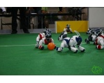 Соревнования среди собак-роботов - Робот - собака AIBO от SONY