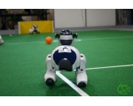 Соревнования по робофутболу - Робот - собака AIBO от SONY