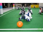 Соревнования по робофутболу среди собак-роботов - Робот - собака AIBO от SONY