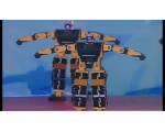 два робота - Робот Robonova