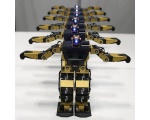 ряд роботов - Робот Robonova