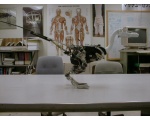 Динозаврик на столе - Робот Динозавр