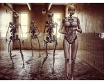 Роботы скелеты - RoboART