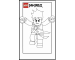 ч/б lego ninjago 21 - Раскраски лего ниндзя го