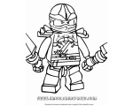 / lego ninjago 14 -    