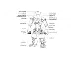 Анатомия - NAO Robot