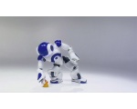   - NAO Robot