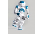 Nao 2 - NAO Robot