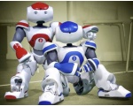   - NAO Robot