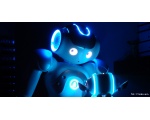   - NAO Robot