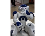 Lange - NAO Robot