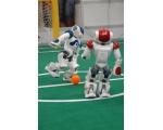 Nao 4 - NAO Robot