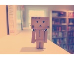    -  DANBO  