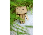    -  DANBO  