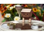 Dambo -  DANBO  