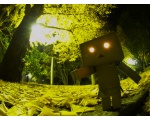 . . . -  DANBO  