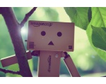     danbo -  DANBO  