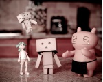     -  DANBO  