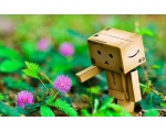   Dambo    -  DANBO  