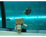 Плоская рыбка - Робот DANBO из бумаги