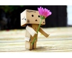 Danbo   -  DANBO  