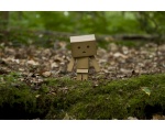 Прогулка в лесу - Робот DANBO из бумаги