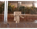   danbo   -  DANBO  