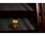    -  DANBO  