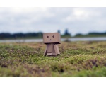    -  DANBO  